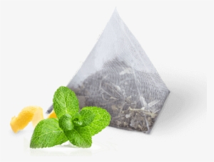 A Smooth-tasting Green Tea Infused With Ginger Root - Ginger And Mint Png Transparent #4276370
