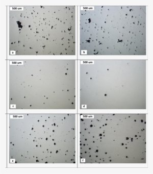 Optical Images Showing The Best And Worst Examples - Symmetry #4276551 Optical Images Showing The Best And Worst Examples - Symmetry #4276551