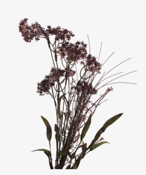 Meadow Flowers Png #4276576