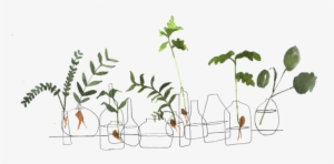 Intro-s2 - Plants #4276643