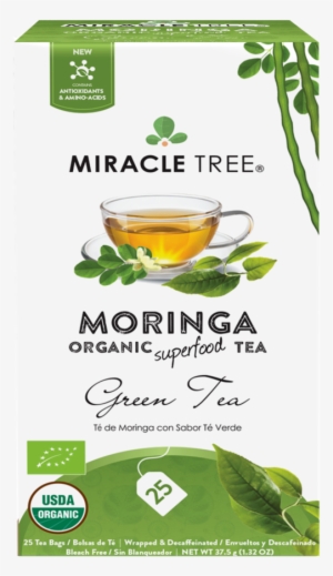 Miracle Tree - Miracle Tree - 6 Count Of Organic Moringa Superfood #4276724