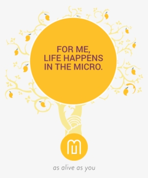 About Us - Mango Hotels #4277561