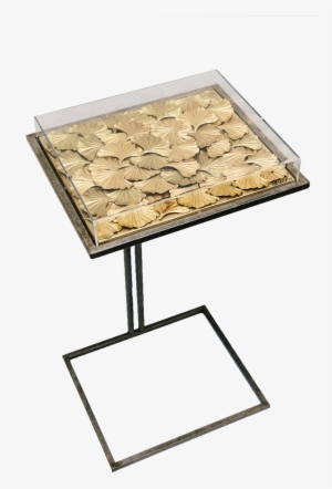 Iron Ginko - Table #4277615