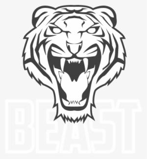 Tiger Face Drawing Easy #4278398