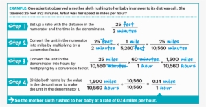 Article Section Image - Would Take A Sloth 130 Minutes S Per Hour #4278721