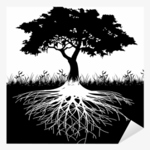 Thick Tree Roots Silhouette #4279164