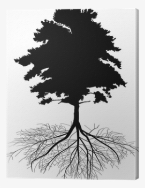 Pine Tree With Root Silhouette Canvas Print • Pixers® - Illustration #4279224