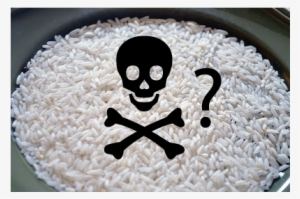 Addressing Concerns About Arsenic In Rice - Black Skull Ornament (oval) #4281715