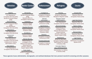 Major Federal Immigration Responsibilities - Immigration #4281983