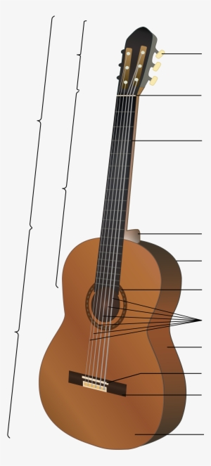 Open - Gitarın Bölümleri Ve Özellikleri #4282105