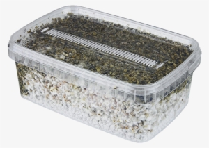 Grow Kits - Mushroom Filter Box #4282128