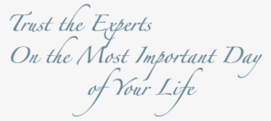 Request An Appointment - Png Text For Wedding #4282172