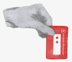 Arsenic Biosensor #4282353