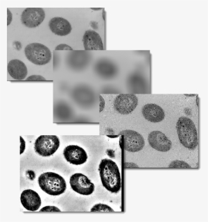 Four Images From Top To Bottom Showing The Original - Monochrome #4283386