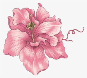 Flores Vintage #4283889