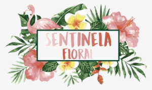 Gil My Bemy Escritos Png Flores Folhas Sentinelafloral - Watercolor Painting #4284096