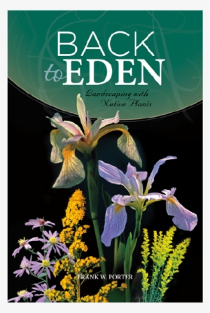 Back To Eden #4284299