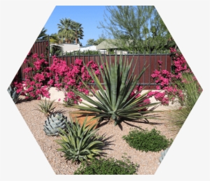Landscaping - Rock Landscaping In Phoenix #4284427