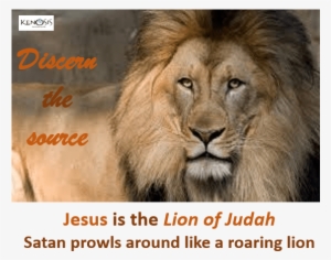 Lion - - Discern - Bold As A Lion #4284571