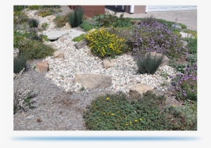 Sustainable Gardening Tips - La Dwp Garden #4284610