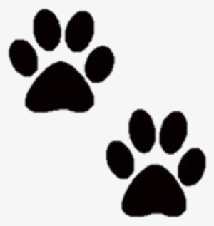 Check Ou - Handmade Pet Sympathy Cards #4286101