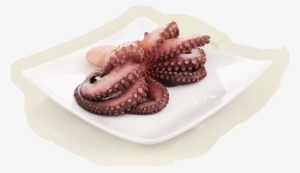 Polvo A Grécia É Reconhecida Por Ter O Melhor Polvo - Octopus #4286212
