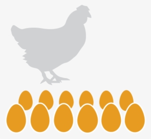 Eggs Dozen - Hen Silhouette #4286798