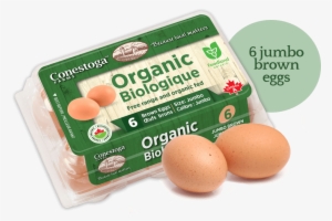 Organic Eggs - Toronto Organic Eggs #4286847