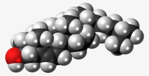 Cholesterol Not The Enemy - Cholesterol #4287625