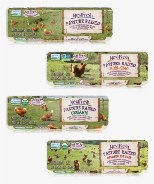 We Strive To Be The Leader In Humane, Sustainable Eggs - Paper Product #4287781