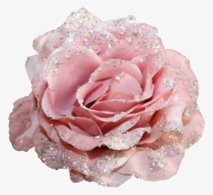 Go To Image - Pink Roses With Glitter #4288558
