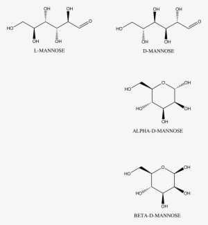 Images/man - Alpha D Mannose And Beta D Mannose #4288772