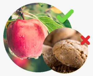 Nectarine #4288926