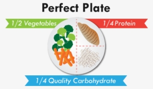 Carbohydrates Are Your Body's Primary Source Of Fuel - Quarter Quarter Half Diet #4288948