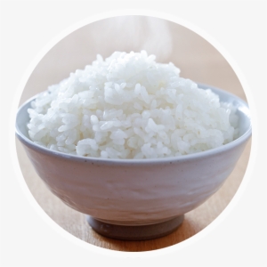 Macronutrient - Carbohydrate - Rice Cooker #4289872