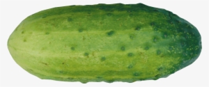 Cucumber Clipart Png Cucumber Clipart - Cucumber #4291078
