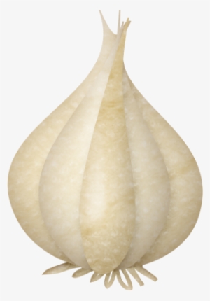 Lliella Homecookedmeal Garlic - Digital Scrapbooking #4291137