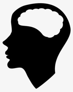 Brain #4292997