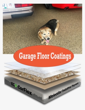 Here Are Some Examples Of What Our Floor Coating Systems - Photograph #4293124