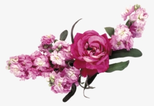 Feliz Dia De Las Madres Mis Amigas - Цветы Для Фотошопа Png #4293716