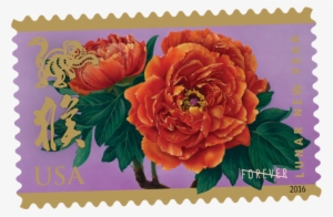 Photo Of Year Of The Monkey Stamp - Year Of The Monkey Forever Stamp #4294239