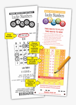 Lucky Numbers Bingo Illustrated Instructions - Lottery #4294538
