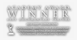 "icarus" Has Already Won Documentary Feature At The - Emmy Award #4294540