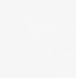 Sinking Ship Entertainment Is A Multiple Emmy® Award - Playstation White Logo Png #4294881