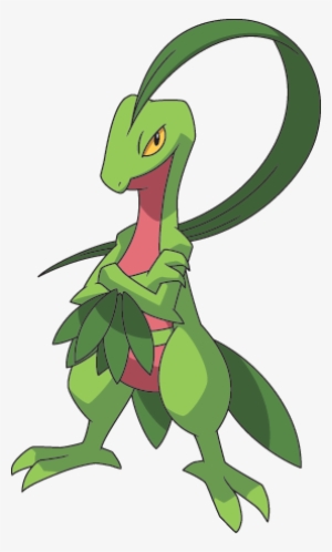253grovyle Ag Anime 2 - Wiki #4295126