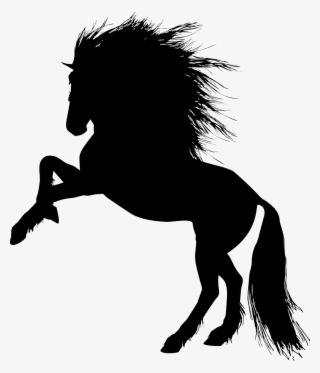 Horse Stallion Colt Rearing Silhouette - Stallion Silhouette #4296244