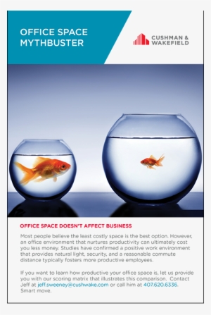 Office Space Doesn't Affect Business #4296789