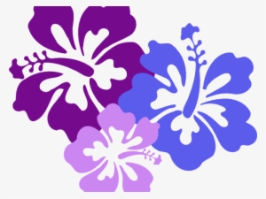 Hawaii Clipart Bunga Raya - Hnl International Airport Logo #4296956