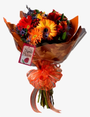 ¡hola Gracias Por Visitarnos - Flower #4297326