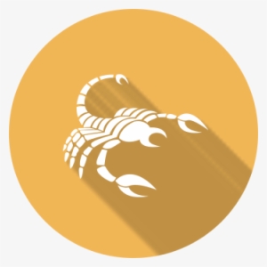 Scorpio Health Horoscope - Scorpio Love #4298960